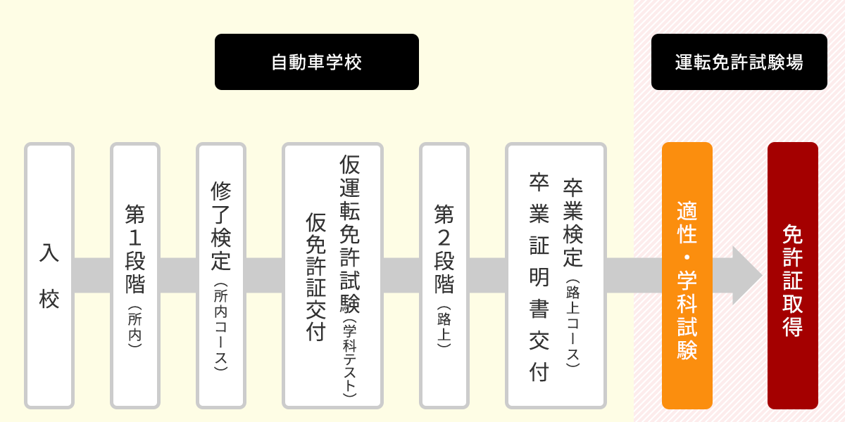 図：免許取得までの流れ